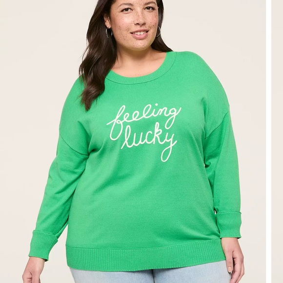 Lane Bryant Sweaters - NWOT Lane Bryant Crew Neck Sweater